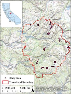 Sierra Nevada amphibians demonstrate stable occupancy despite precipitation volatility in the early 21st Century
